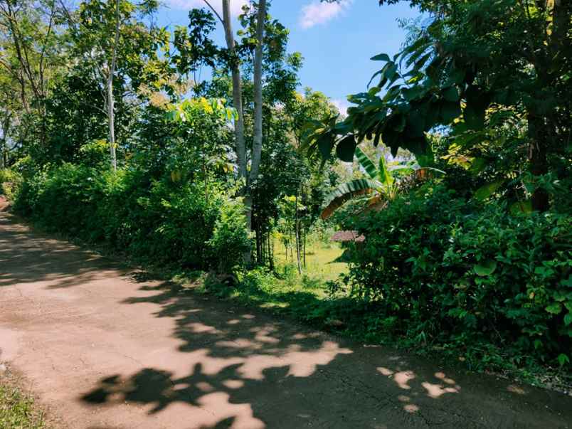 tanah karangpandan karanganyar