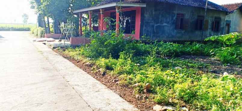 tanah karangpelem kedawung sragen