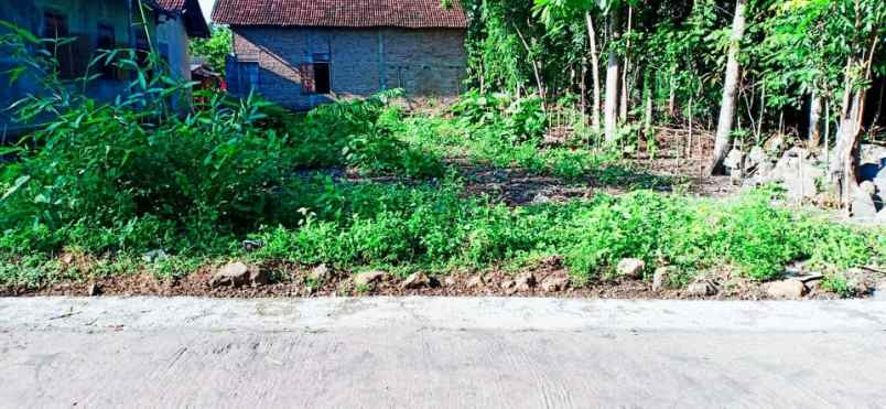 tanah karangpelem kedawung sragen