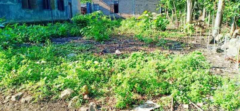 tanah karangpelem kedawung sragen