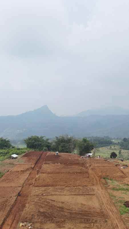 tanah kavling sukamakmur puncak dua