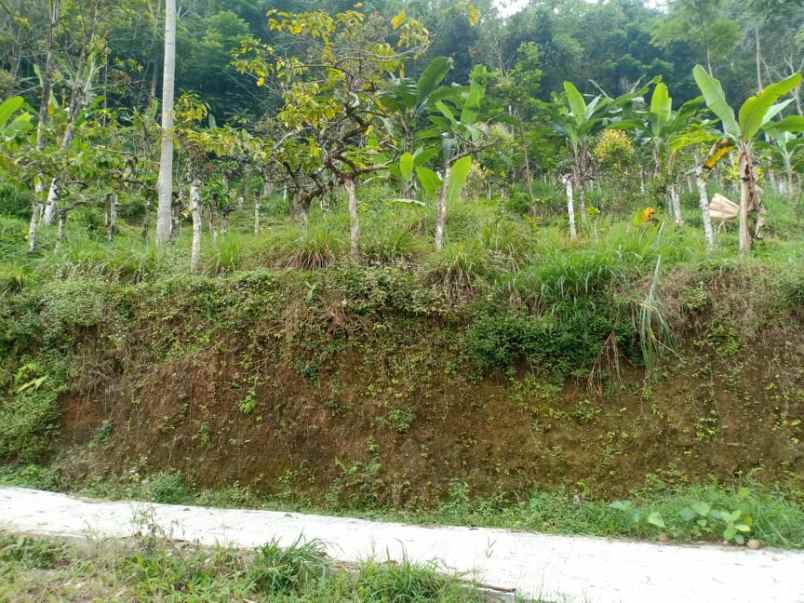 tanah kawasan wisata alam