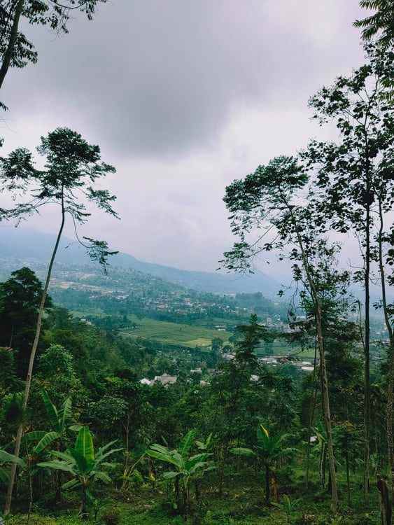 tanah kawasan wisata alam