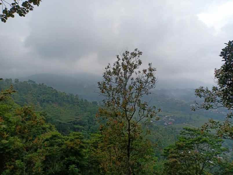 tanah kawasan wisata alam