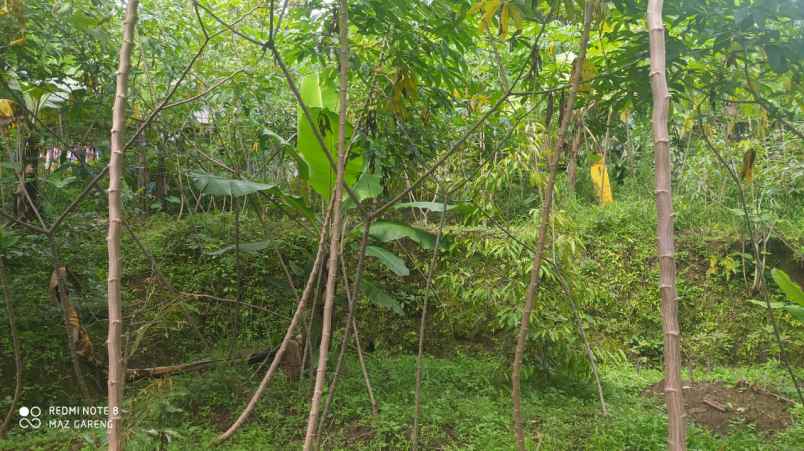 tanah kawasan wisata ngargoyoso