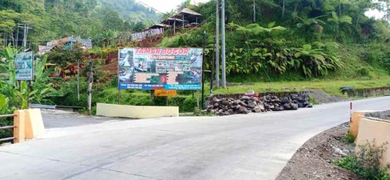 tanah kemuning ngargoyoso