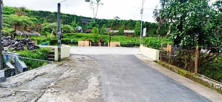 tanah kemuning ngargoyoso