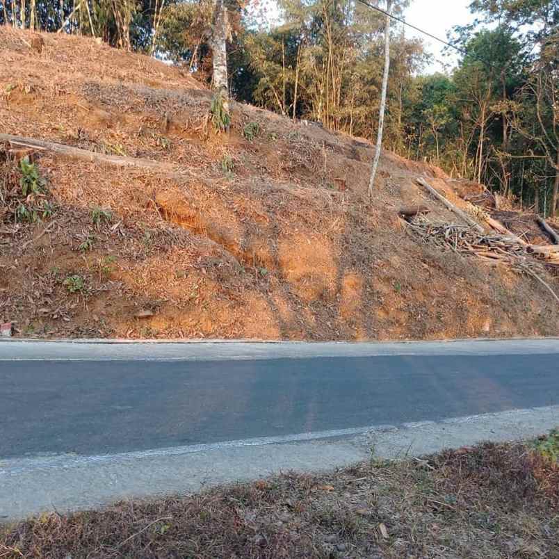 tanah kerjo karanganyar