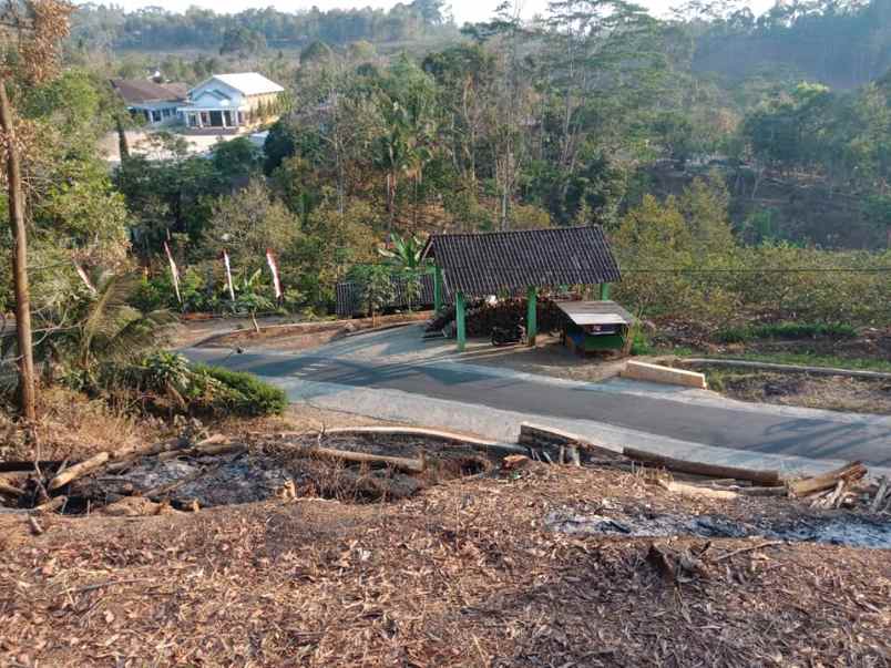 tanah kerjo karanganyar