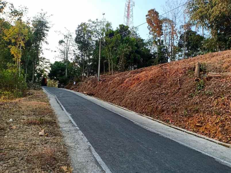 tanah kerjo karanganyar