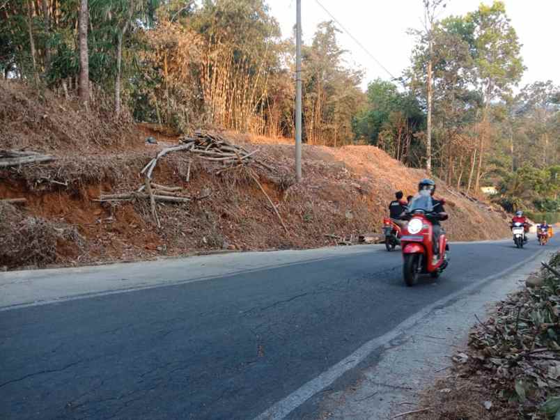 tanah kerjo karanganyar