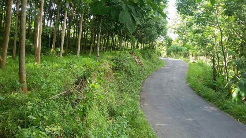 tanah kerjo karanganyar