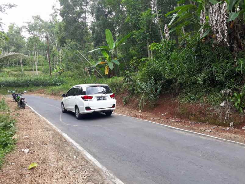 tanah kerjo karanganyar