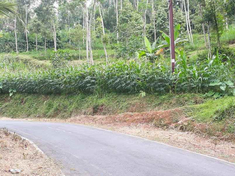 tanah kerjo karanganyar