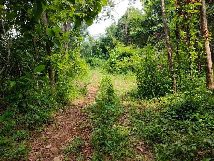 tanah kerjo karanganyar