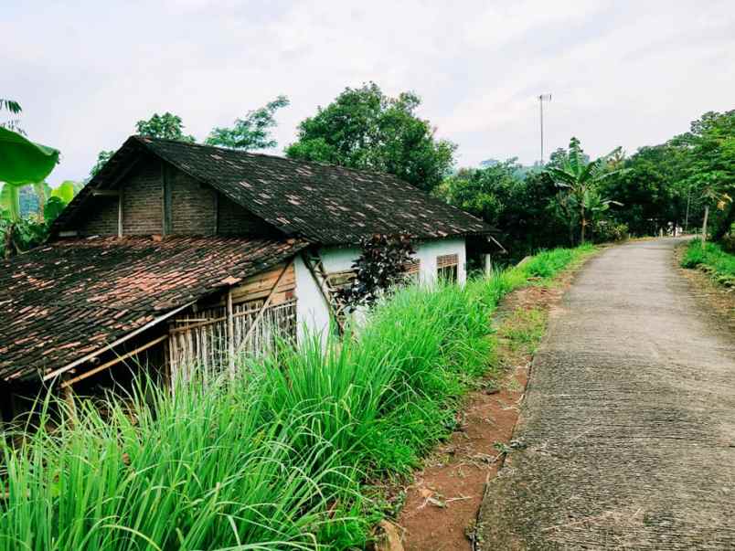 tanah kerjo karanganyar
