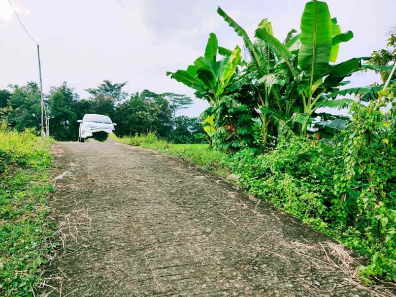 tanah kerjo karanganyar