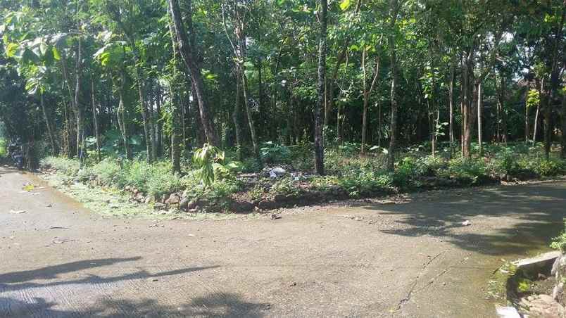 tanah kerjo karanganyar