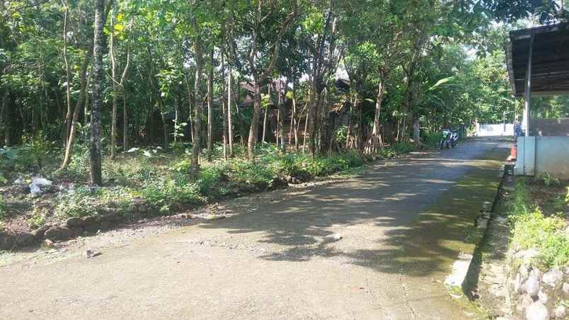 tanah kerjo karanganyar