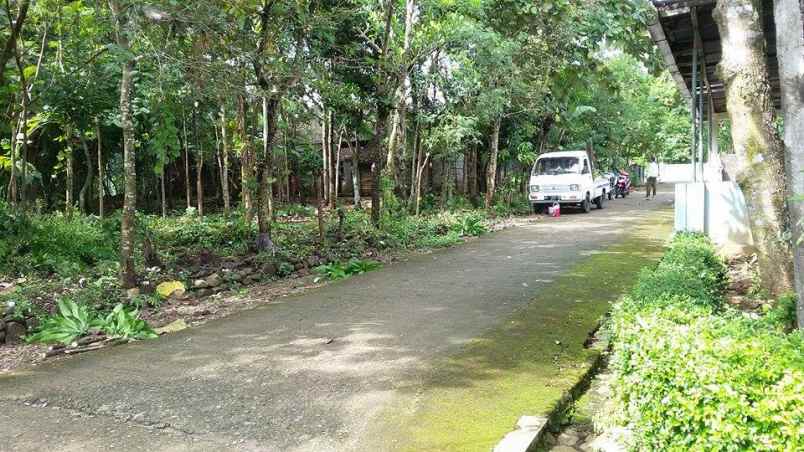 tanah kerjo karanganyar