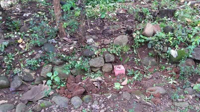 tanah kerjo karanganyar