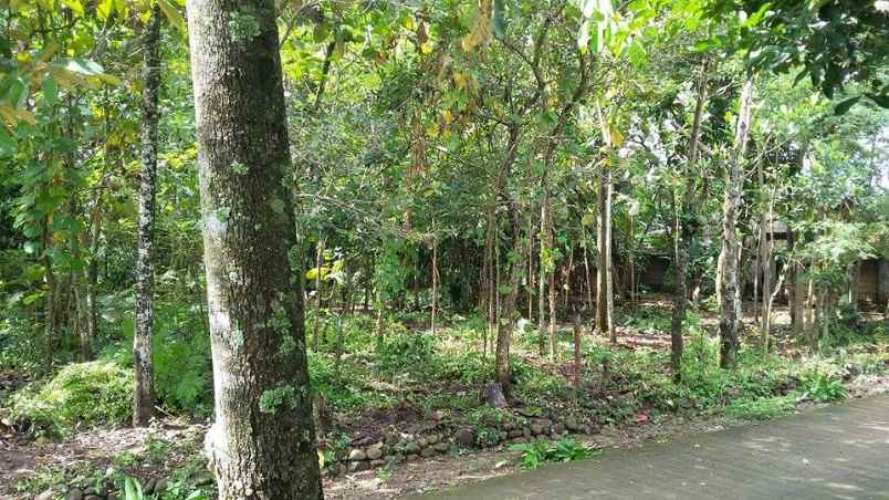 tanah kerjo karanganyar