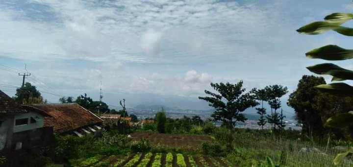 tanah kolonel masturi