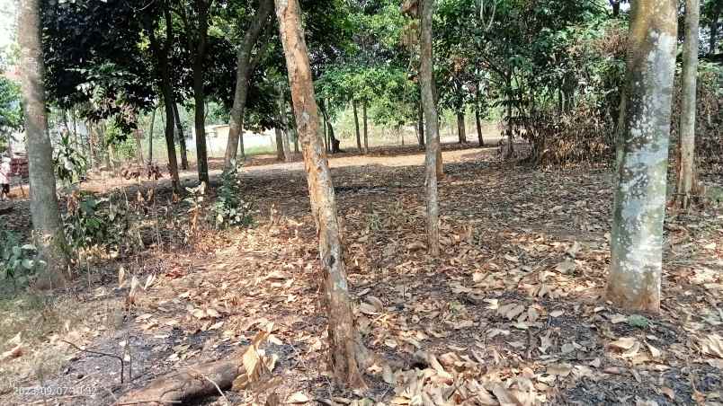 tanah komersil 7400 m2 setu bekasi