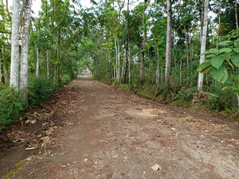 tanah mojogedang karanganyar