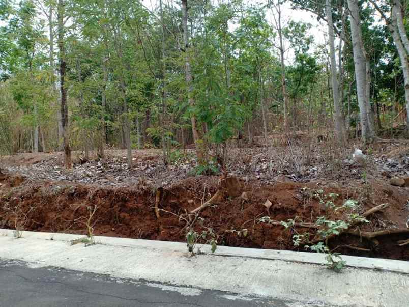 tanah mojogedang karanganyar