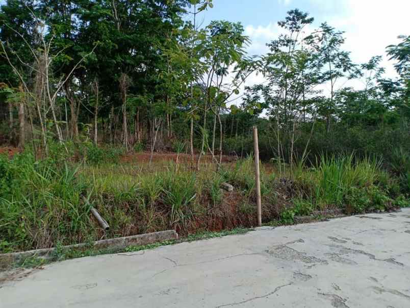 tanah mojogedang karanganyar