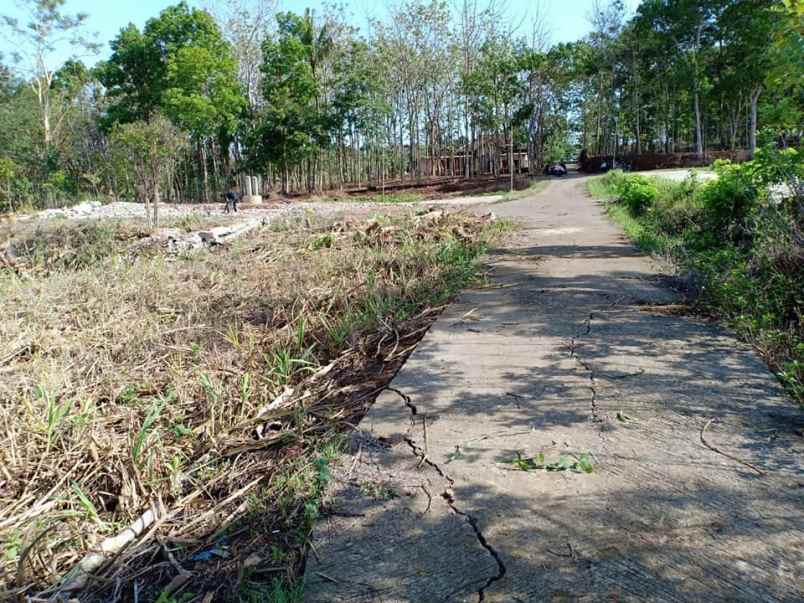 tanah mojogedang karanganyar