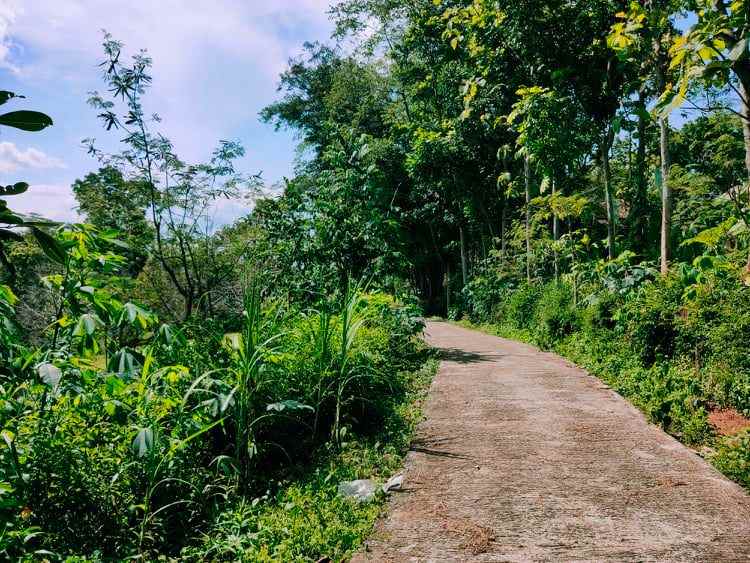 tanah mojogedang karanganyar