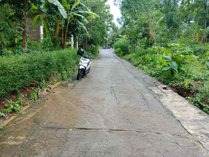 tanah mojogedang karanganyar