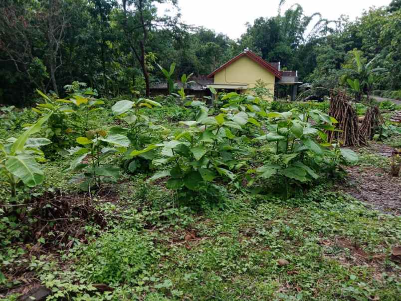 tanah mojogedang karanganyar