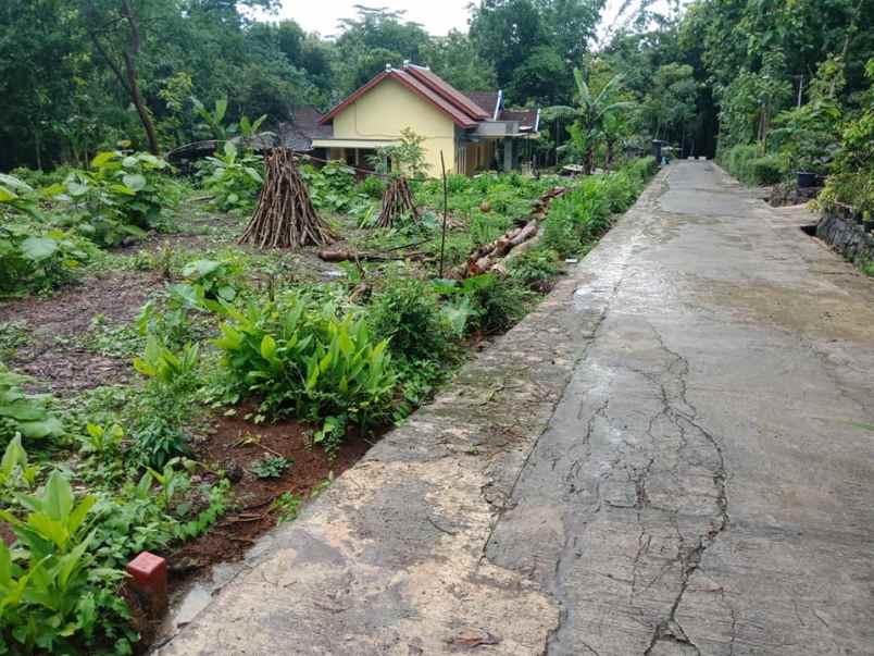 tanah mojogedang karanganyar