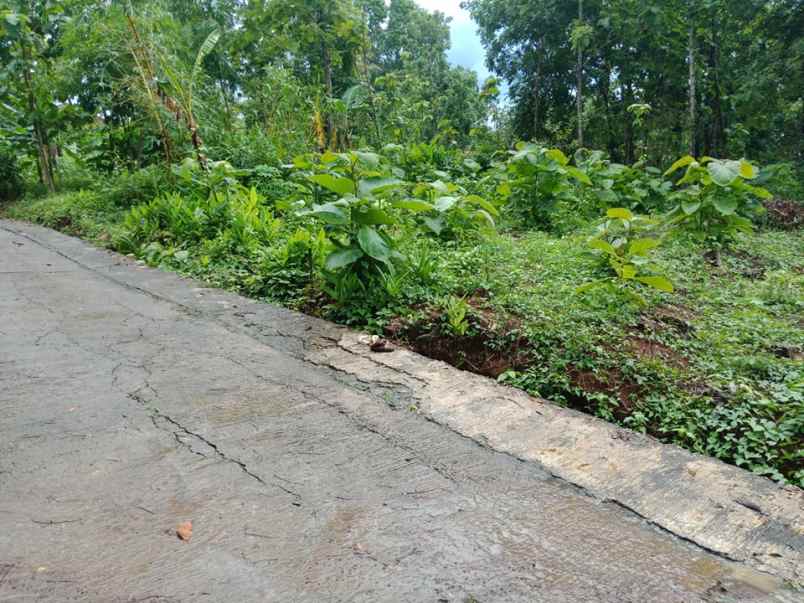 tanah mojogedang karanganyar