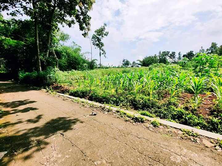 tanah mojogedang karanganyar