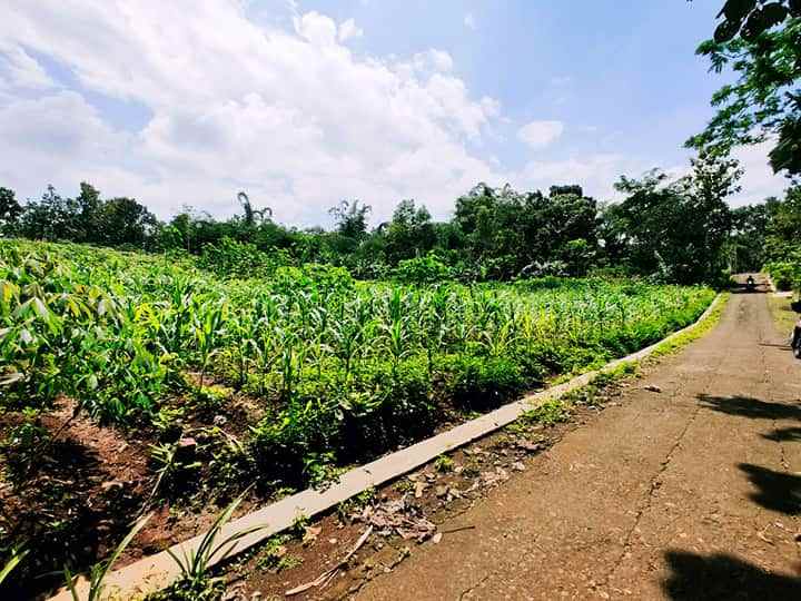 tanah mojogedang karanganyar