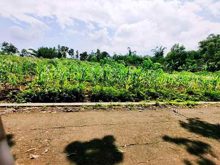 tanah mojogedang karanganyar