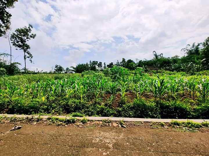 tanah mojogedang karanganyar