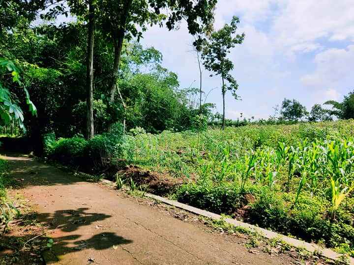 tanah mojogedang karanganyar