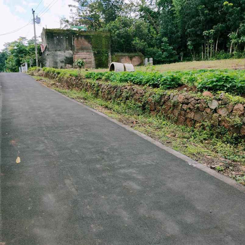 tanah mojogedang karanganyar