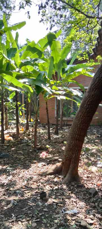 tanah perumahan di harjamukti cimanggis kota depok