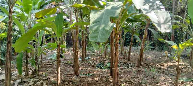 tanah perumahan di harjamukti cimanggis kota depok