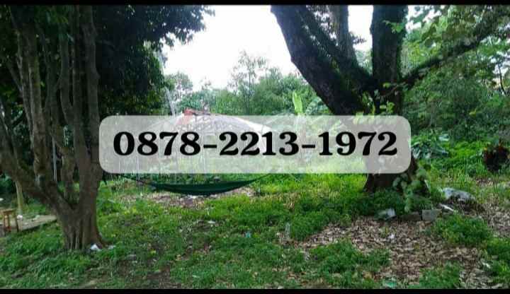 tanah siap bangun bagus untuk komersil di parung bogor