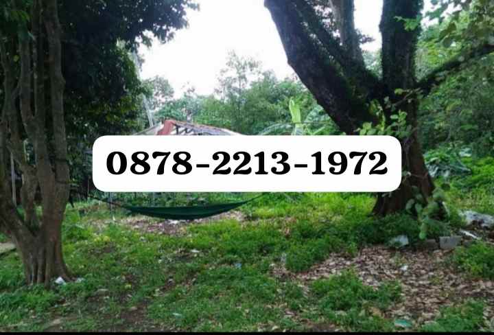 tanah siap bangun bagus untuk komersil di parung bogor