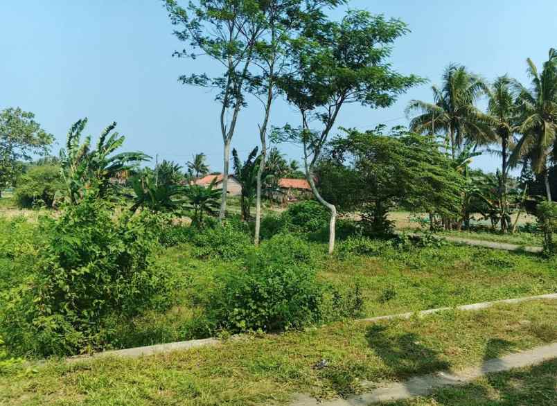 tanah strategis sekali murah