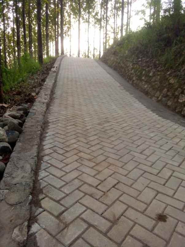 tanah termurah sukabumi full shm 70 hektar