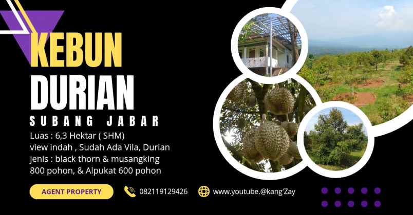 vila kebun durian 800 pohon subang jawa barat